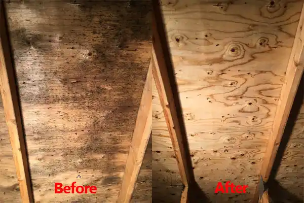 water damage restoration service Holiday Lakes